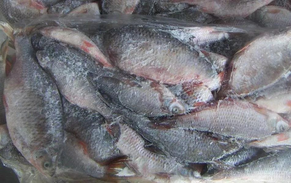 мороженая Рыба в Самаре
