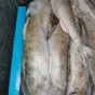 судак и вся  речная рыба в ассортименте в Самаре и Самарской области
