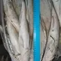 судак и вся  речная рыба в ассортименте в Самаре и Самарской области 5