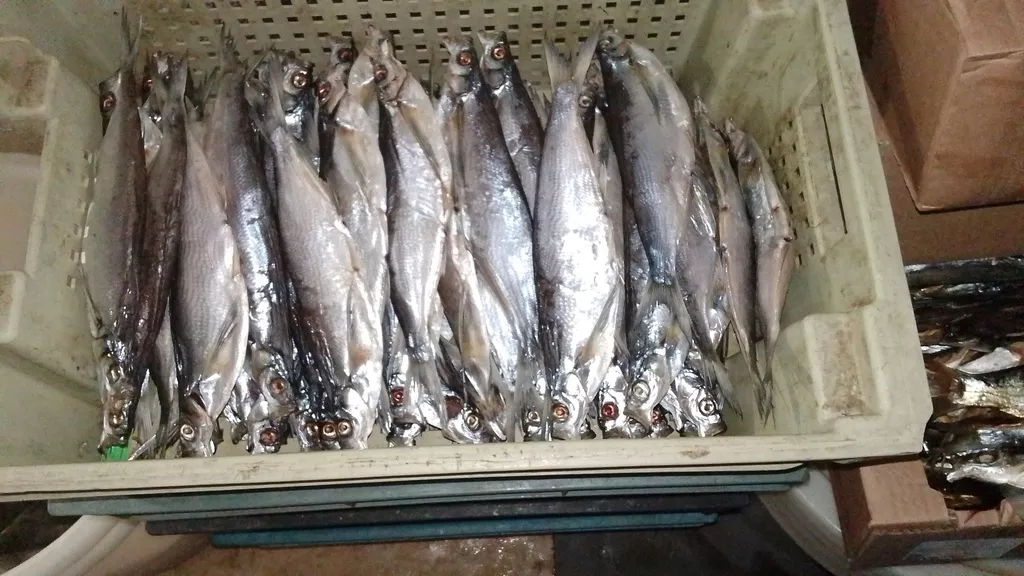 вяленая рыба малосоленая  в Жигулевске