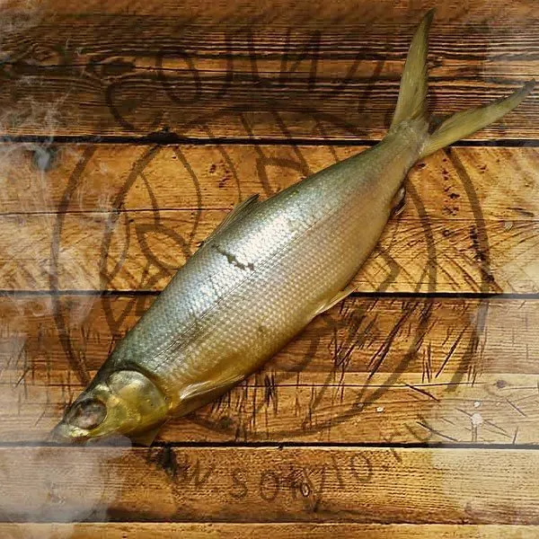 рыба молочного цвета. сибирская пелядь. пелядь х/к. пелядь. молоко рыба копченая.