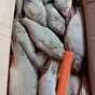 рыба свежемороженая в ассортименте в Самаре