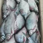рыба свежемороженая в ассортименте в Самаре 7