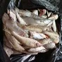 рыба свежемороженая в Самаре и Самарской области
