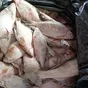 рыба свежемороженая в Самаре и Самарской области
