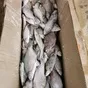мелочь (рыба разного сорта до 200 гр.) в Самаре 2
