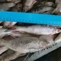 вобла и вся речная рыба в ассортименте в Самаре и Самарской области 9