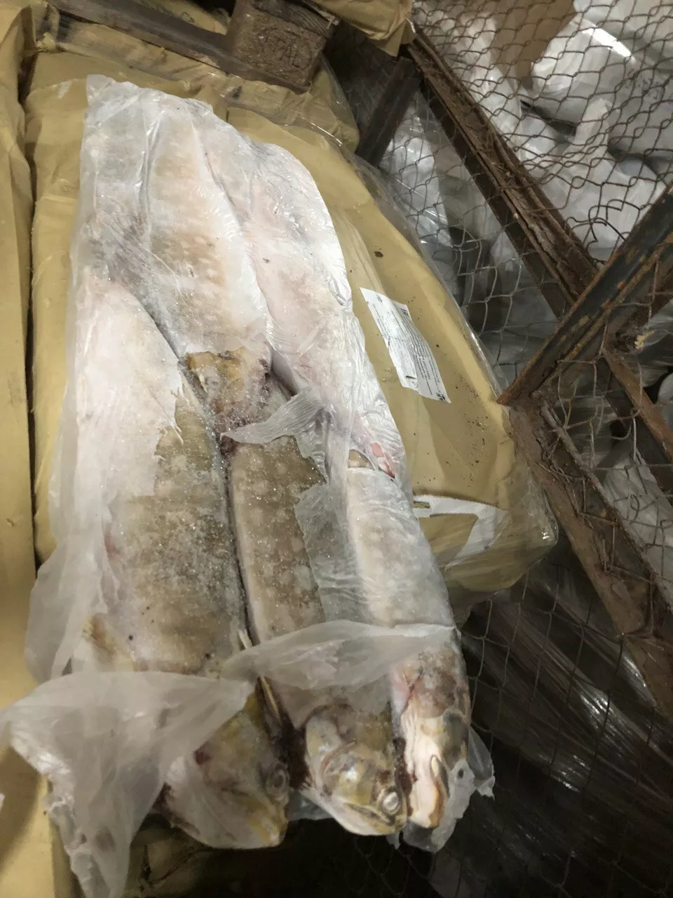 мороженную пищевую рыбную продукцию в Самаре и Самарской области 8